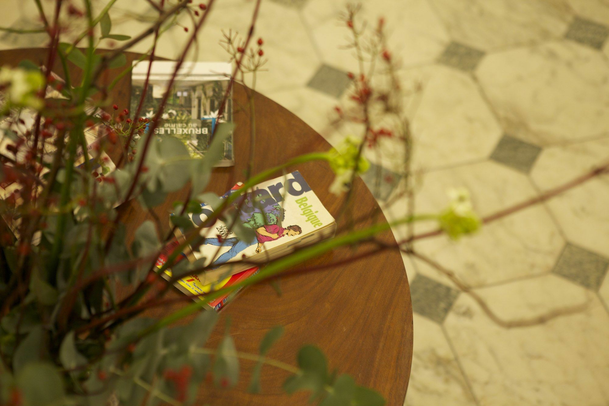 B&B Living In Brusel, Urban B&B Etterbeek Exteriér fotografie