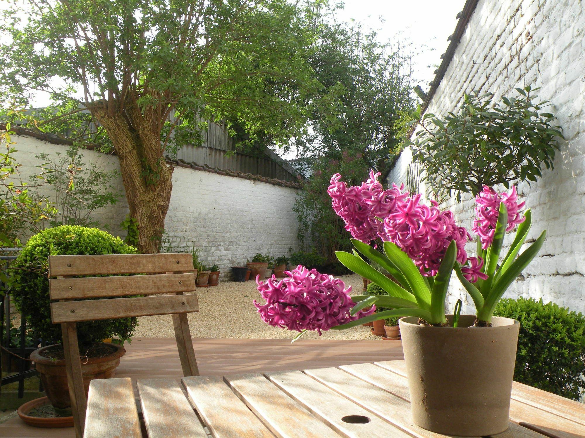 B&B Living In Brusel, Urban B&B Etterbeek Exteriér fotografie